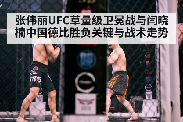 mma octagon cage fight